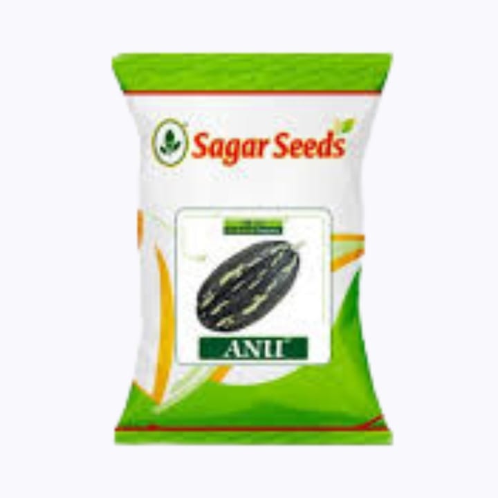 Sagar Anu F1 Pumbkin(50g)