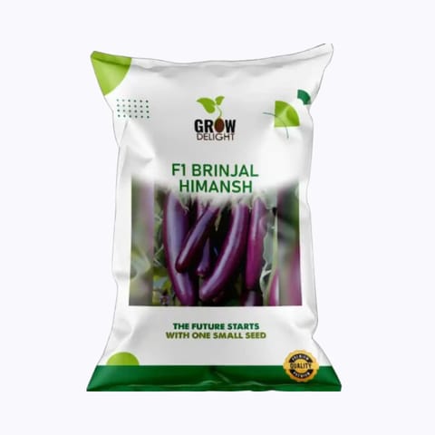 Grow Delight F1 Brinjal Himansh