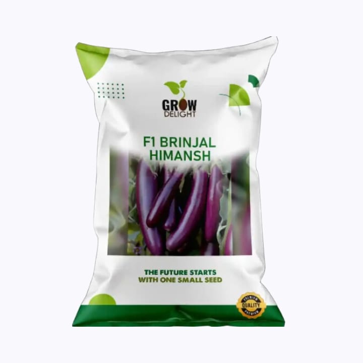 Grow Delight F1 Brinjal Himansh