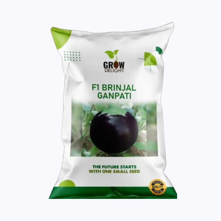 Grow Delight F1 Brinjal Ganpati