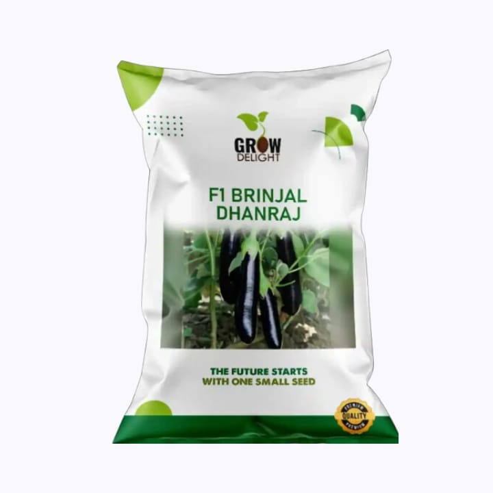 Grow Delight F1 Brinjal Dhanraj