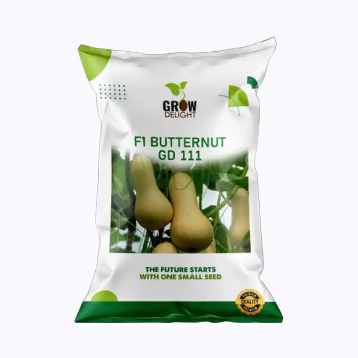 Grow Delight F1 Butternut GD 111