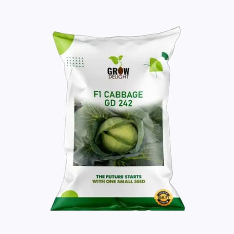 Grow Delight F1 Cabbage GD 242