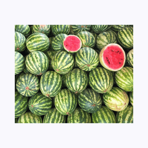 Hybrid F1 Watermelon Stripes Seeds (15 Seeds)