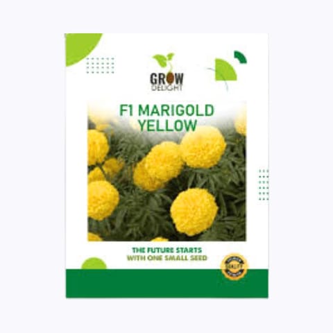 Grow Delight F1 Marigold Yellow