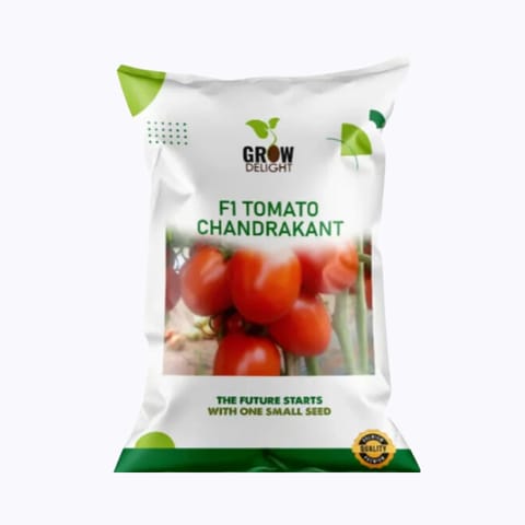 Grow Delight F1 Tomato Chandrakant