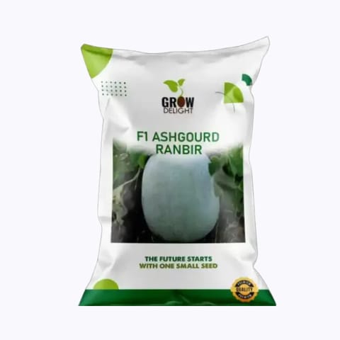 Grow Delight F1 Ashgourd Ranbir