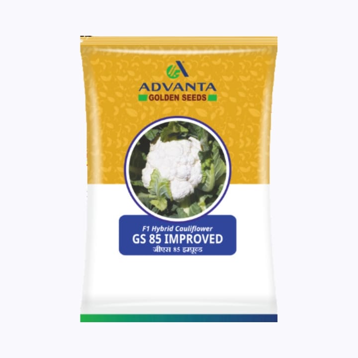 Advanta GS 85 Cauliflower Seeds