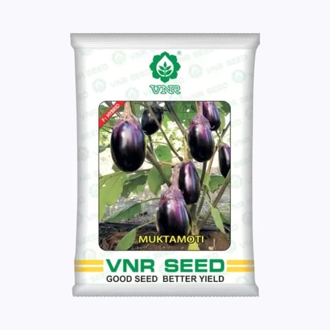 VNR Mukta Moti Brinjal Seeds