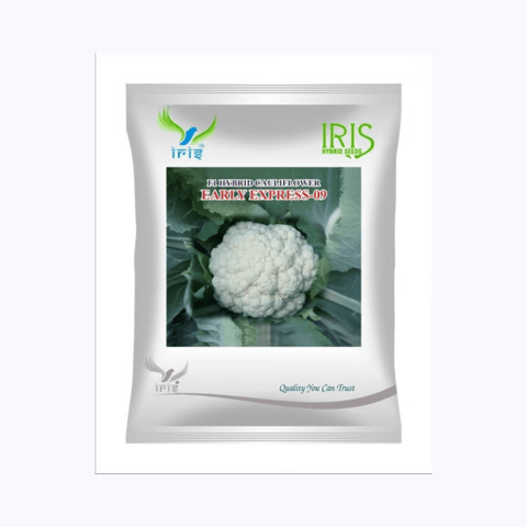 Iris Hybrid F1 Cauliflower Early Express