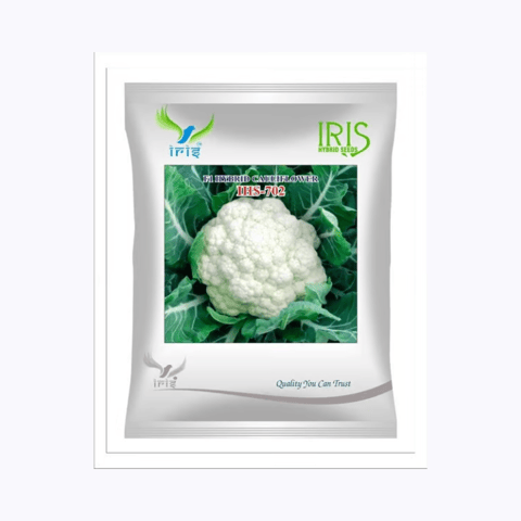 Iris Hybrid F1 Cauliflower IHS702