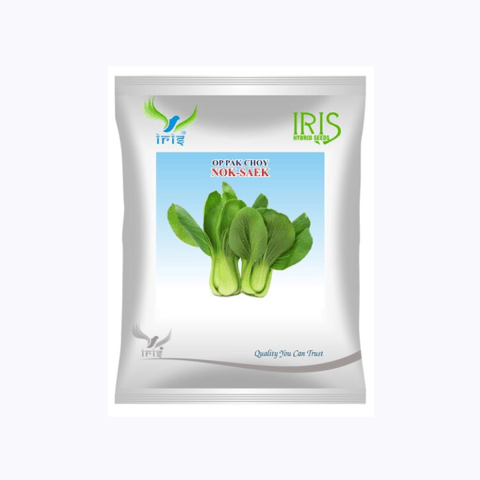 Iris Imported OP Pak Choy Nok Saek