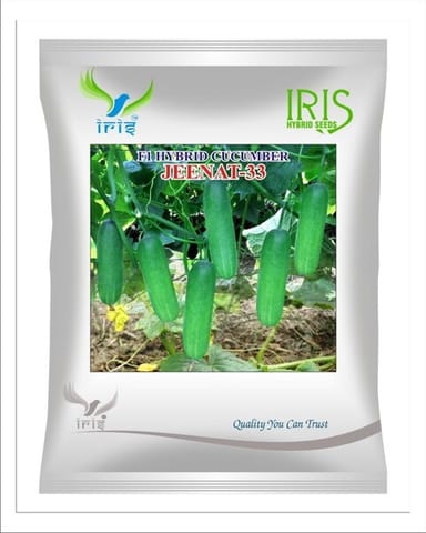 Iris Hybrid F1 CUCUMBER  JEENAT