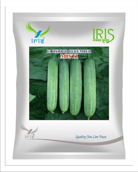 Iris Hybrid F1 CUCUMBER  MISTI