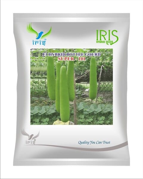 Iris Hybrid F1 Bottle gourd Super 101