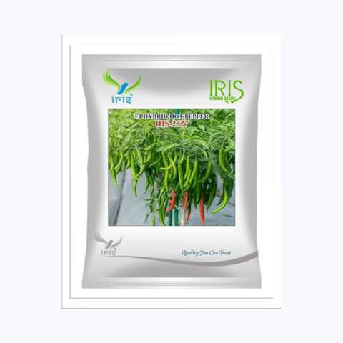 Iris Hybrid F1 HOT PEPPER IHS-2727