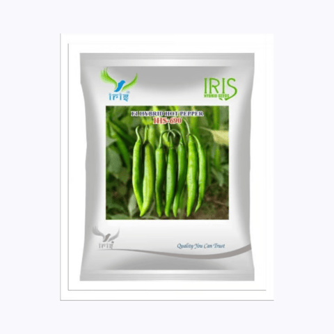 Iris Hybrid F1 HOT PEPPER IHS-690