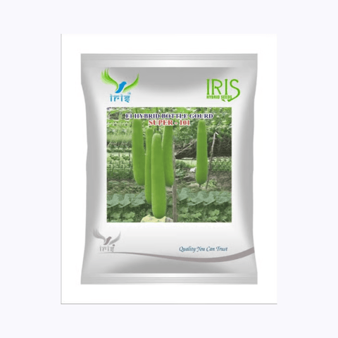 Iris Hybrid F1 Bottle gourd Super 101