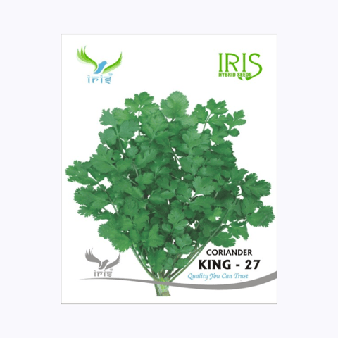 Iris Imported OP Coriander King 27 Split