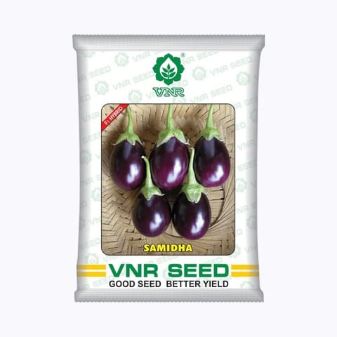 VNR Samidha Brinjal Seeds