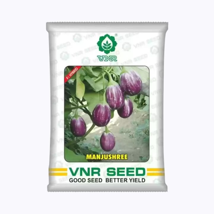 VNR Manjushree Brinjal Seeds