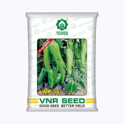 VNR - 38 Chilli Seeds