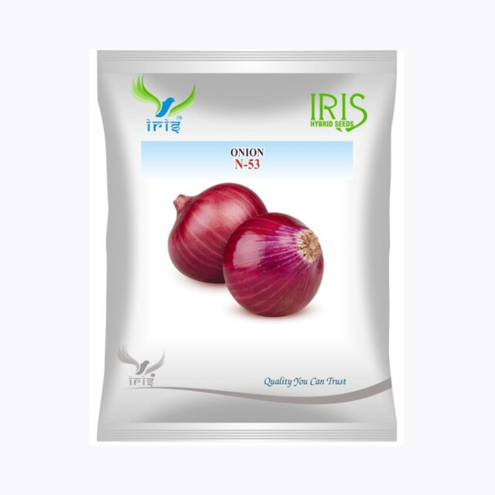 Iris OP Onion N-53 Seeds