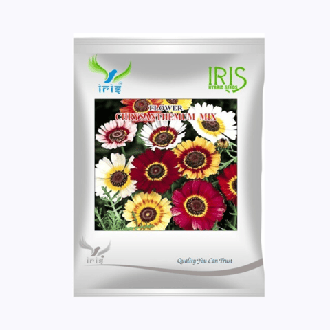 Iris Imported OP Chrysanthemum Carinatum Mix Seeds