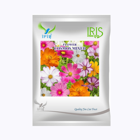 Iris Imported OP Cosmos Mix Seeds