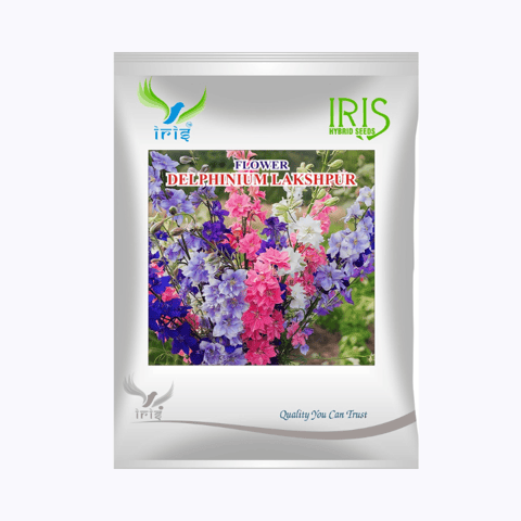 Iris Hybrid Imported OP Delphinium Larkspur Seeds