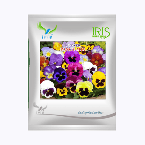 Iris Hybrid Imported OP Pancy Mix Seeds