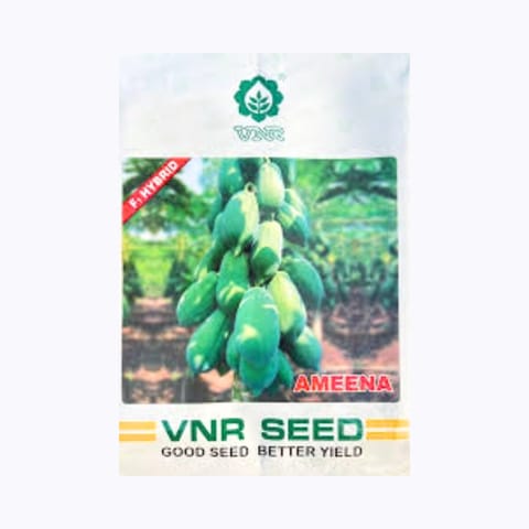 VNR Ameena F1 Hybrid Papaya (पपीता ) Seeds