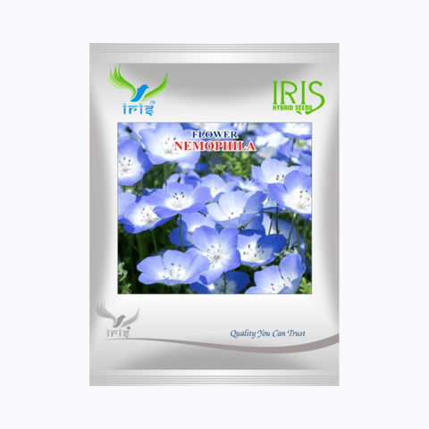 Iris Hybrid Imported OP Nemophila Mix Seeds