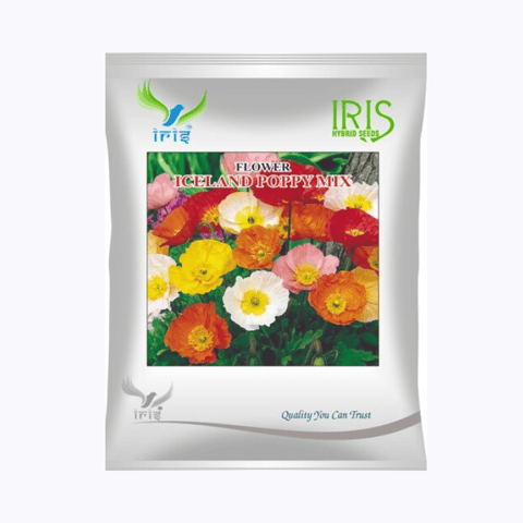 Iris Hybrid Imported OP Iceland Poppy Mix Seeds