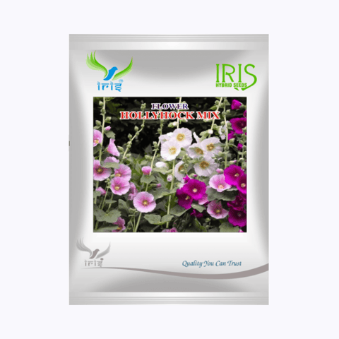 Iris Hybrid Imported OP Hollyhock Mix Seeds