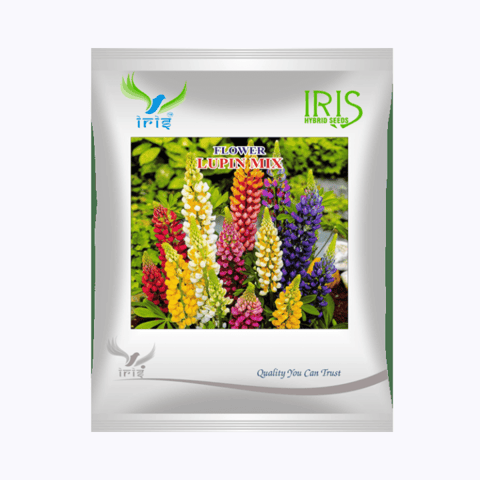 Iris Hybrid Imported OP Lupin Mix Seeds