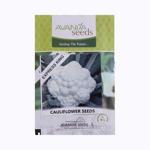 Avaniya Seeds Cauliflower Express King