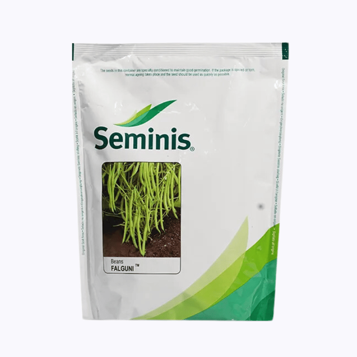 Seminis Falguni Garden Bean Seeds