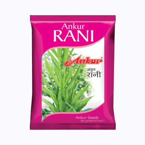 Ankur Rani Guar Seeds