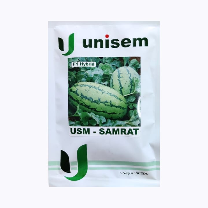 Unisem USM-Samrat Watermelon Seeds