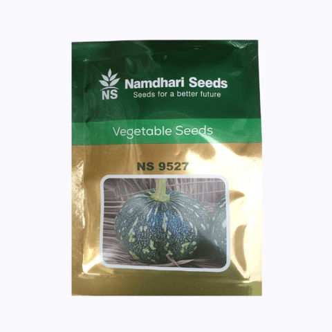 Namdhari Seeds NS-9527 Pumpkin Seeds