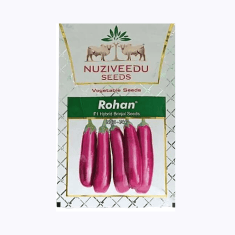 Nuziveedu Seeds Rohan NBH 744 Brinjal Seeds