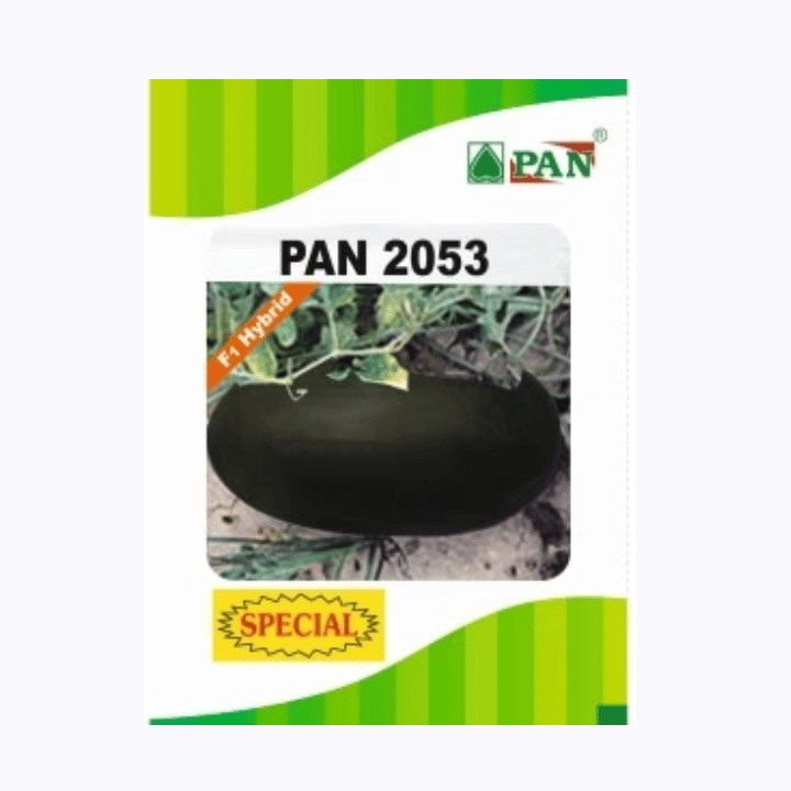 Pan 2053 Watermelon Seeds