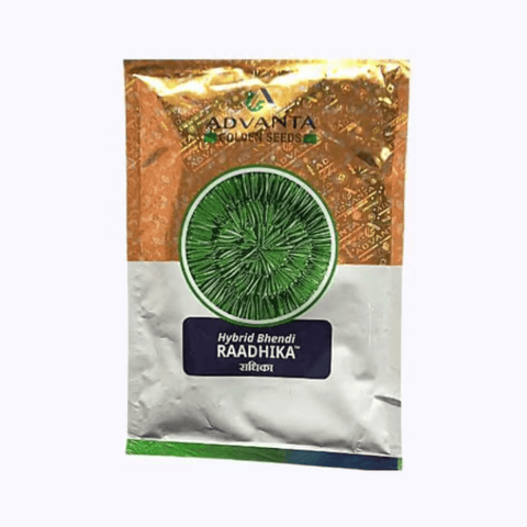 Radhika F1 Hybrid Bhindi Seeds