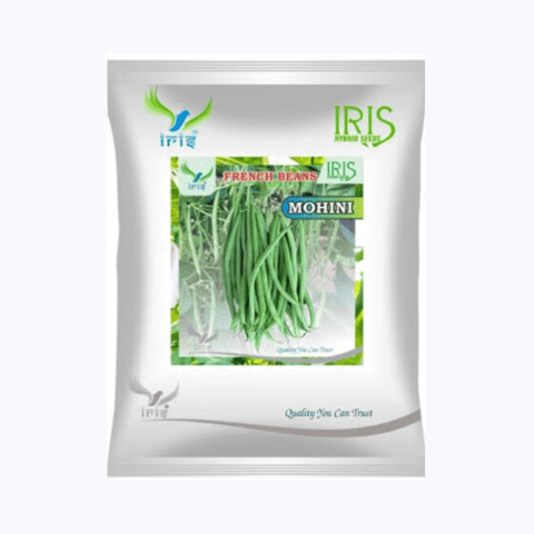 Iris OP French Beans Mohini Seeds