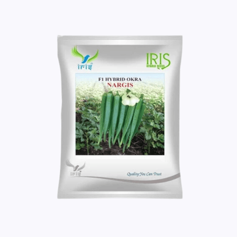 Iris Hybrid F1 Okra Nargis Seeds