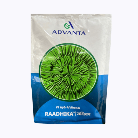 Advanta Raadhika Bhindi Seeds