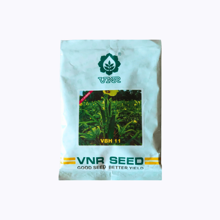 VNR VBH 11 Bhindi Seed