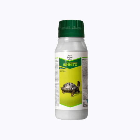 Bayer Infinito Fungicide for Late blight (पछेती झुलसा)