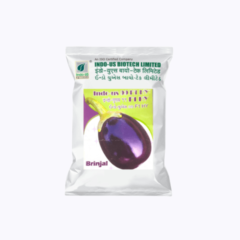 Indo Us 99 F1 Hy Brinjal seeds